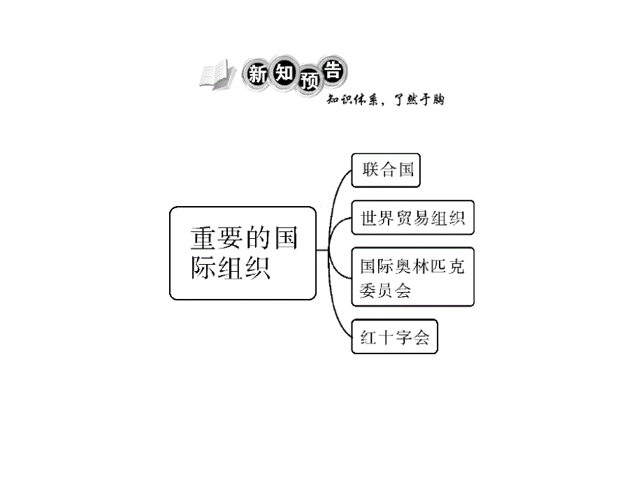 第五章第三节重要的国际组织配套课件_第2页