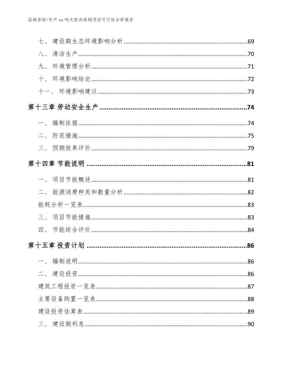 年产xx吨无取向硅钢项目可行性分析报告【模板】_第5页