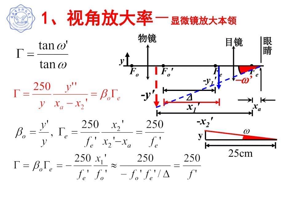 显微镜结构及其原理_第5页