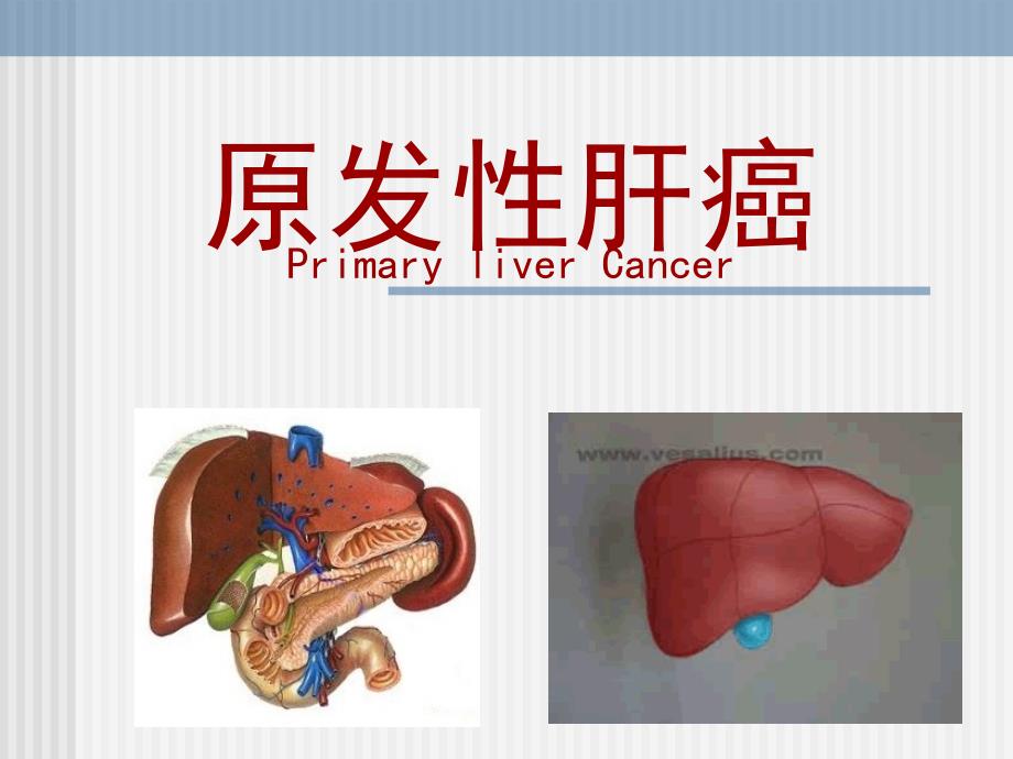 内科学教学课件：原发性肝癌 Primary liver Cancer_第1页