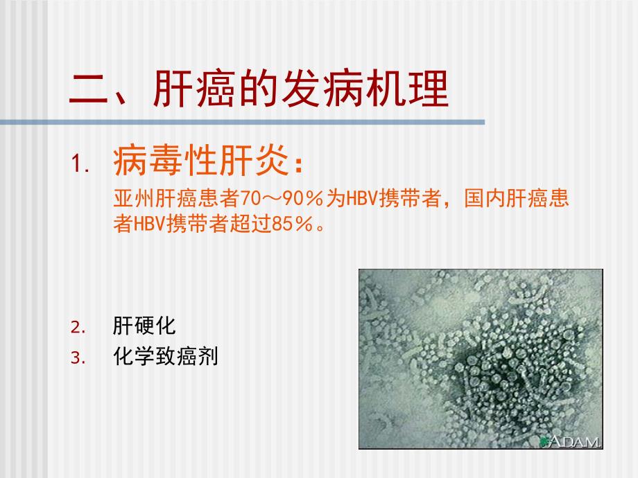 内科学教学课件：原发性肝癌 Primary liver Cancer_第3页