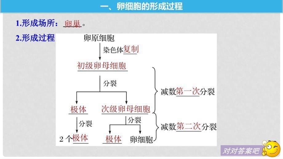 高中生物 第2章 基因和染色体的关系 第1节 第2课时 基因在染色体上课件 新人教版必修2_第5页