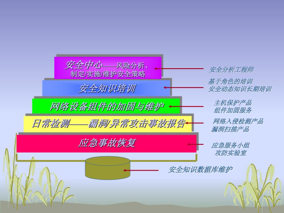 网络防御安全架构方案_第3页