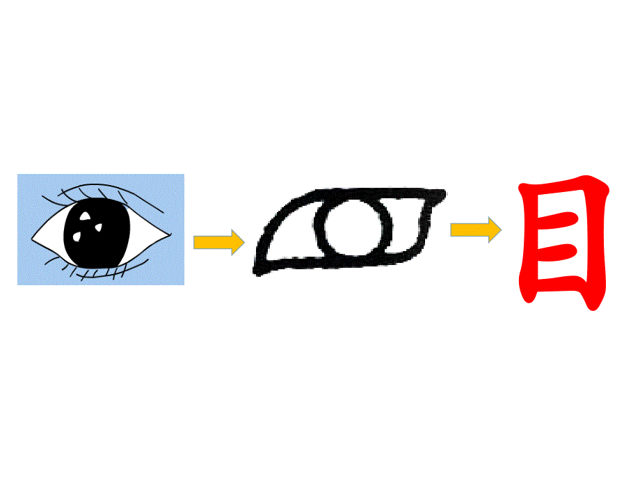 一年级上册语文课件 识字1.3口耳目人教部编版(共45张PPT)教学文档_第2页