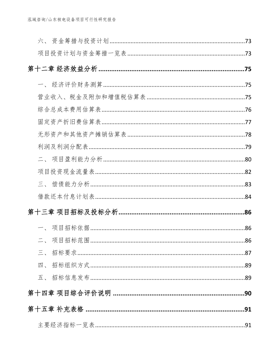 山东核电设备项目可行性研究报告_第4页