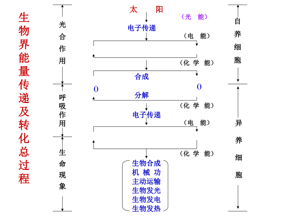 食品营养与卫生课件_第4页