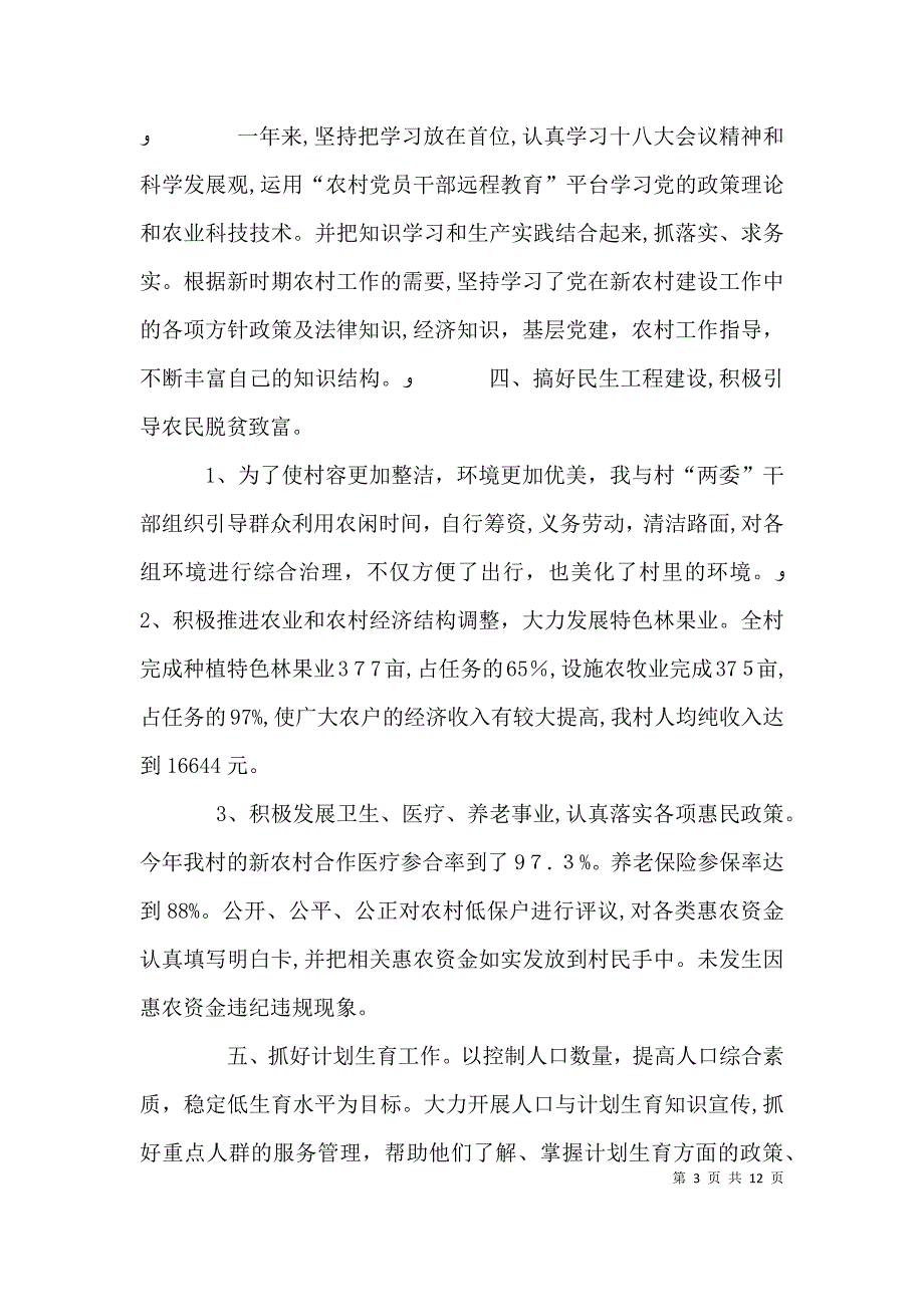 村主任个人述职报告_第3页