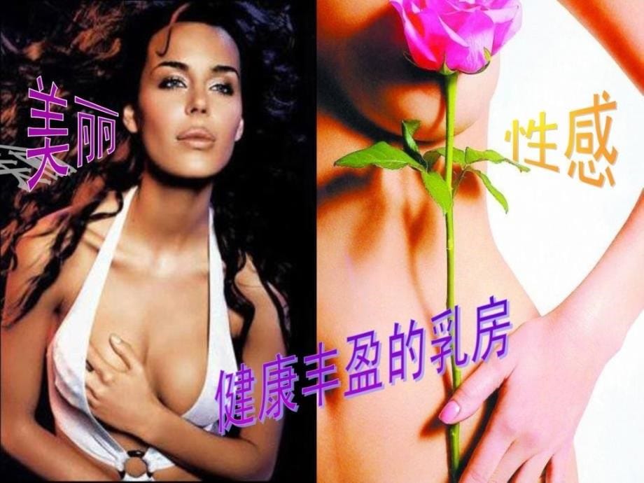 乳腺疾病防治与保健常识讲座[指南]_第5页