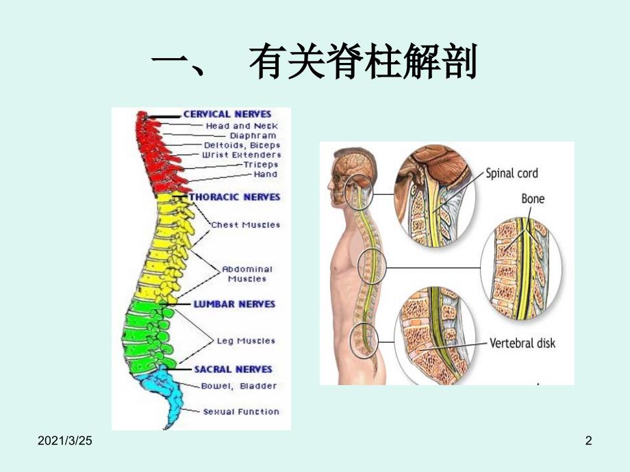 脊椎骨折的固定与搬运手法香港PPT课件_第2页