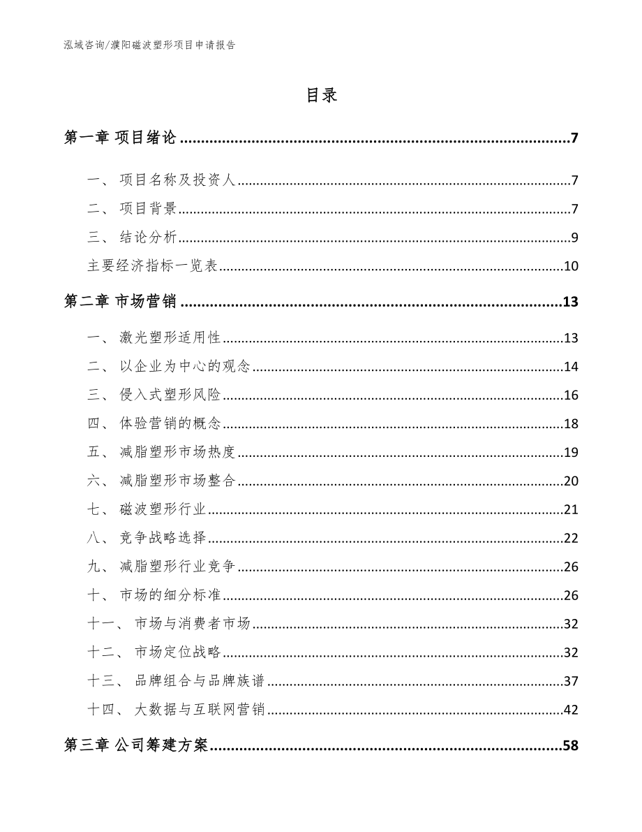 濮阳磁波塑形项目申请报告【模板范本】_第2页