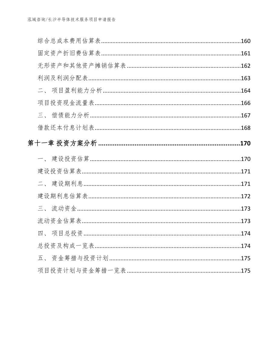 长沙半导体技术服务项目申请报告_模板_第5页