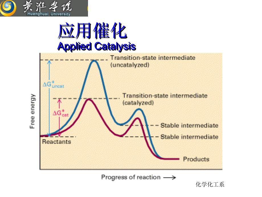 应用催化绪论_第1页