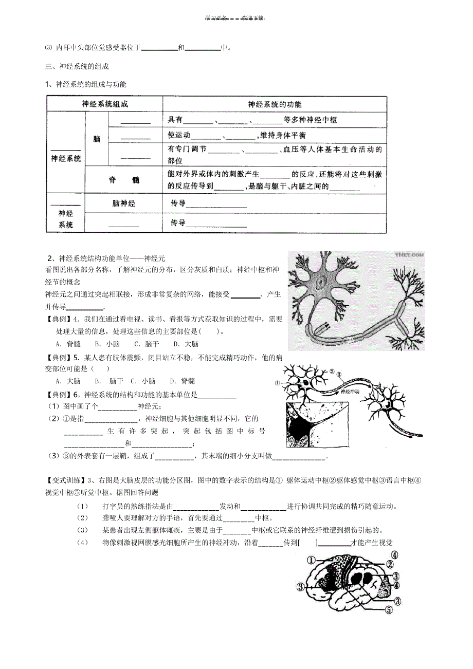 八下生物《第六章人体生命活动的调节》教案_第3页