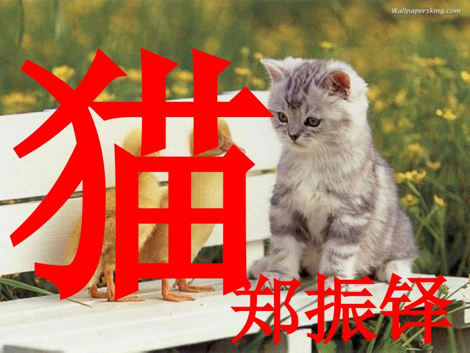 郑振铎《猫》_第3页