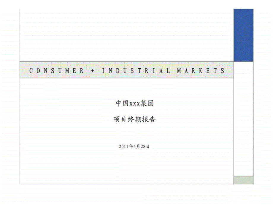 中国xxx集团项目终期报告_第1页