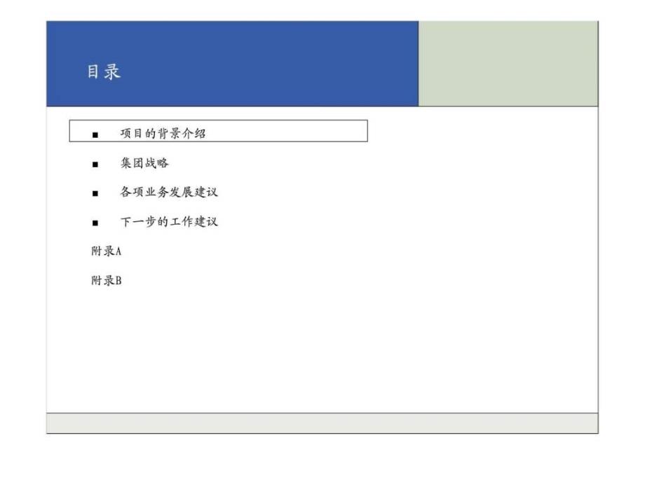 中国xxx集团项目终期报告_第4页