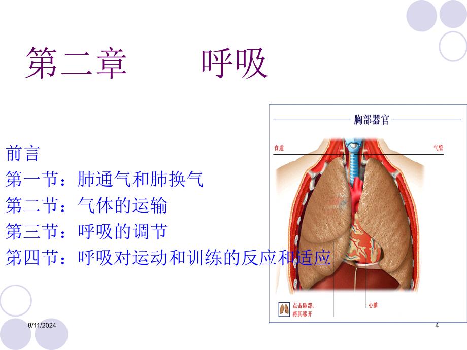 第二章呼吸报告_第4页