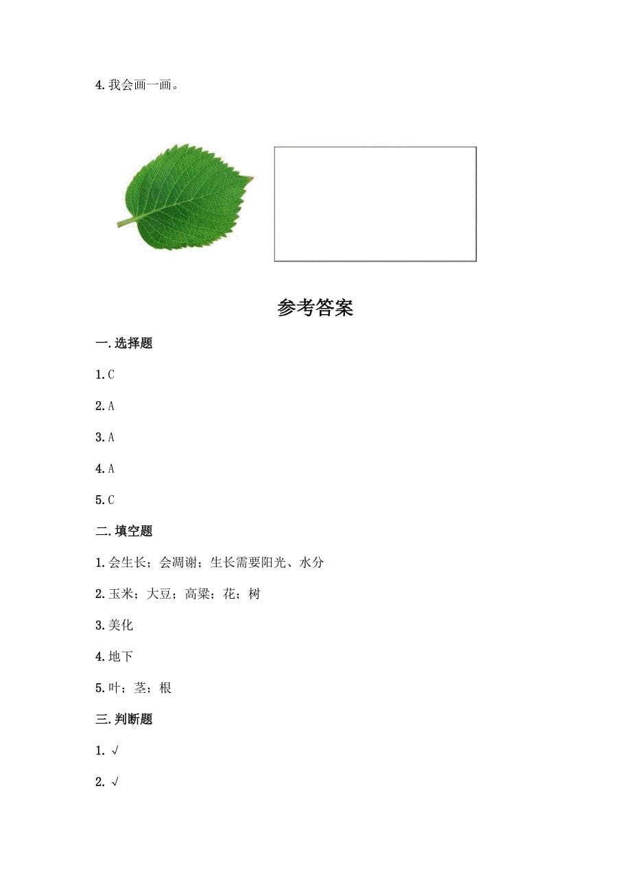 科学一年级上册第一单元《植物》测试卷及完整答案【历年真题】.docx_第5页