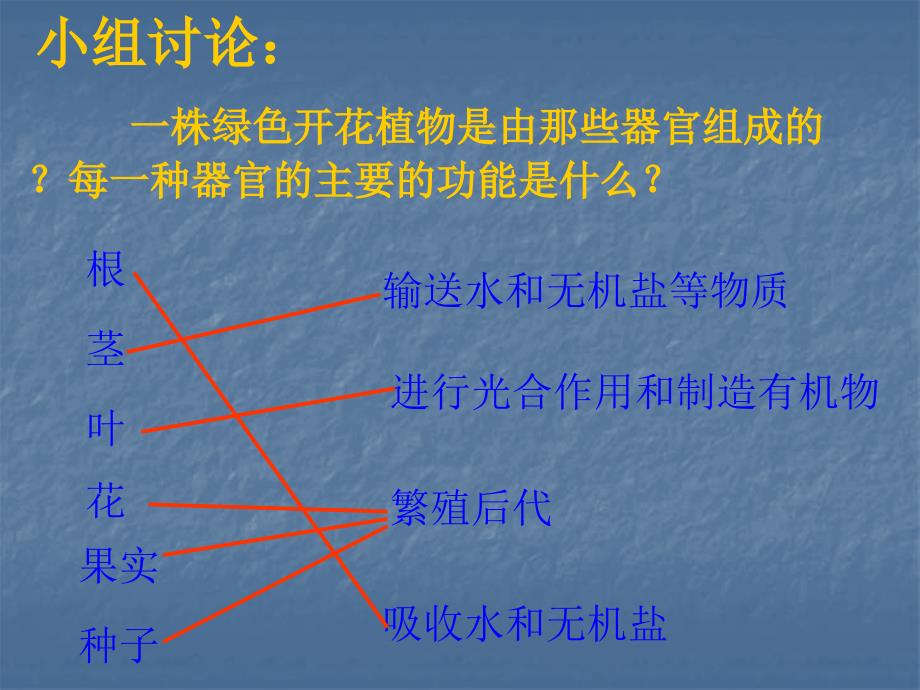 人教版科学六上植物体各部分的关系课件1_第4页