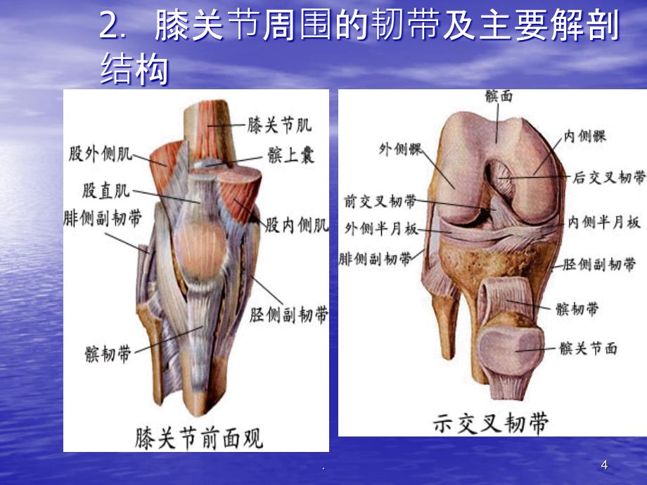 膝骨性关节炎课件_第4页