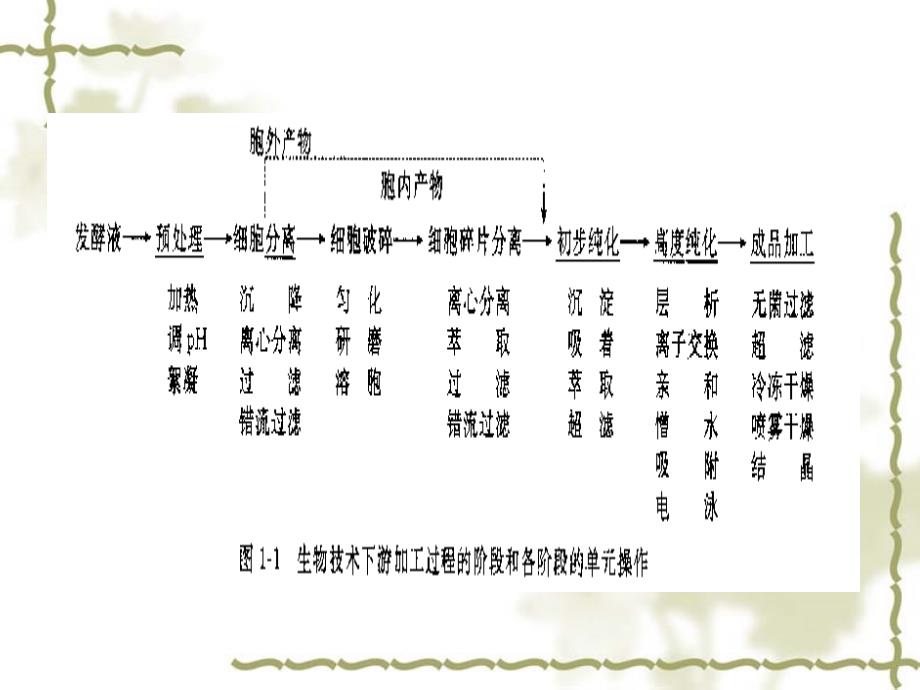 第3部分微生物细胞的破碎Chapter3CellDisruption_第3页