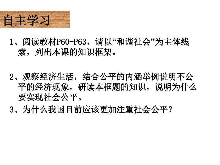 高中政治《经济发展与社会和谐》课件 新人教版选修6_第5页