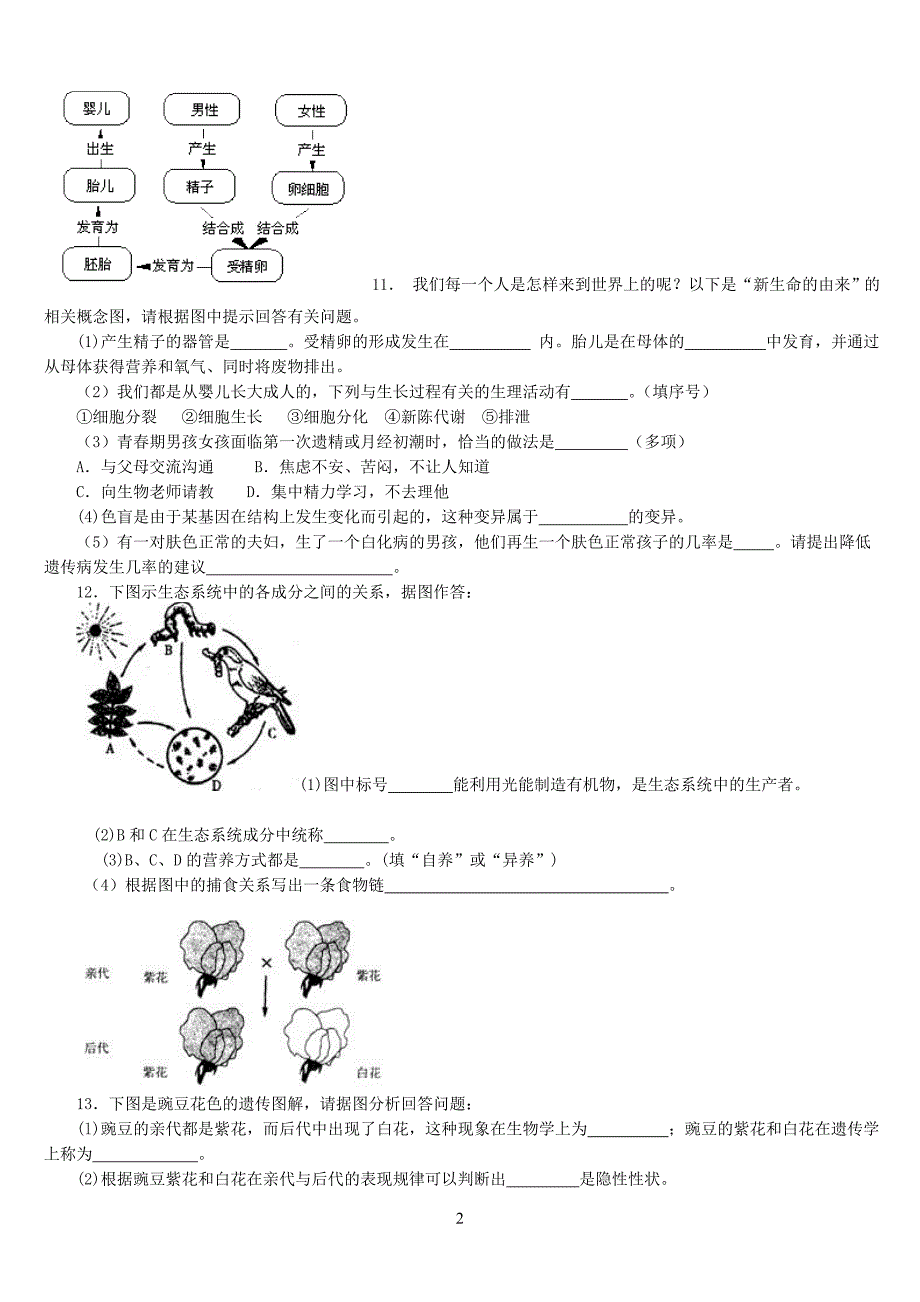 201806人教版八年级上册生物期末 考试试卷及答案.doc_第2页