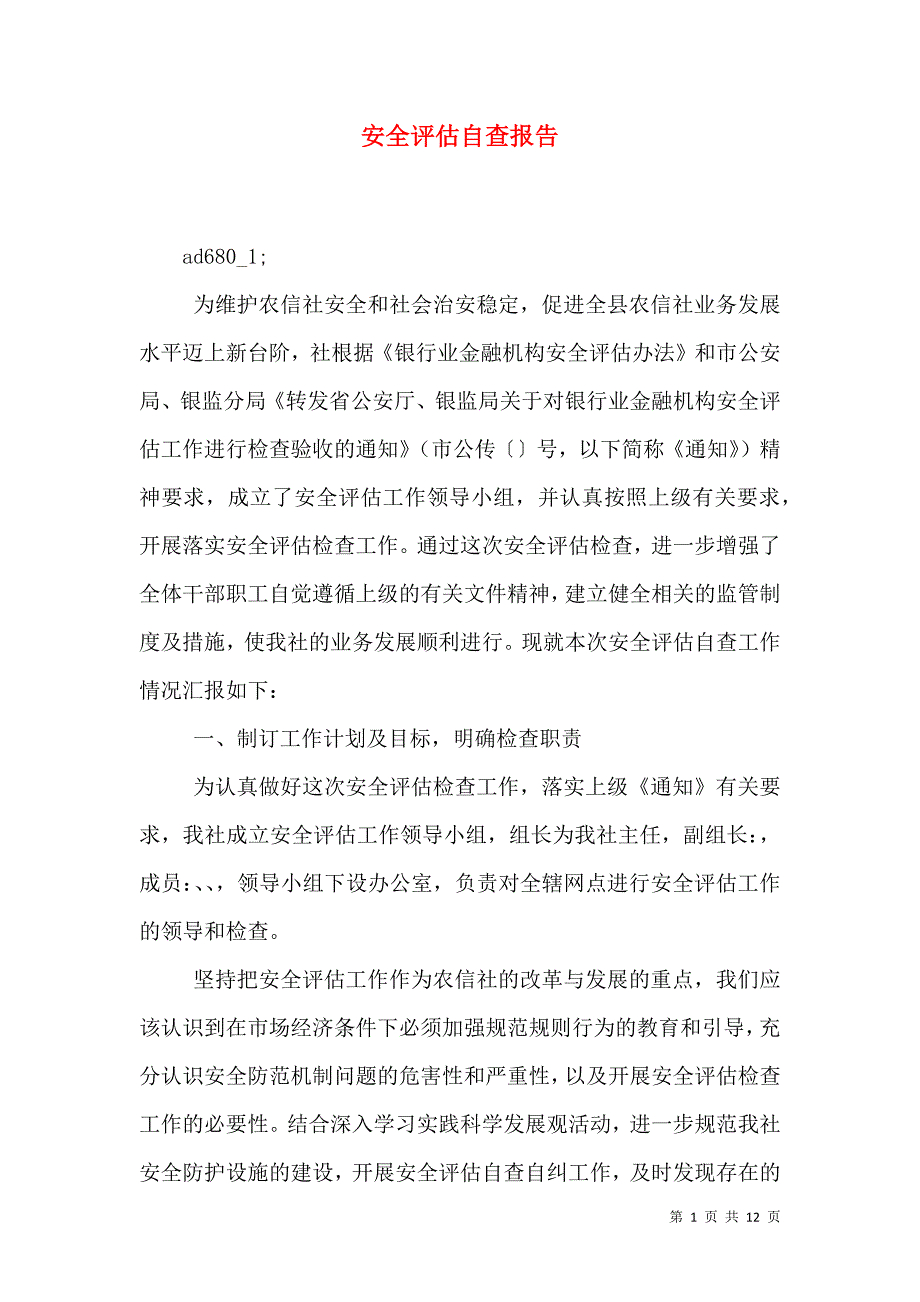 安全评估自查报告_0_第1页