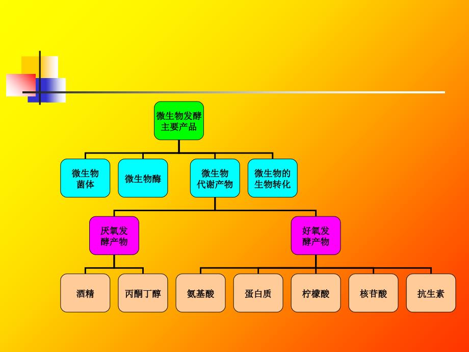 微生物发酵主要产品_第2页