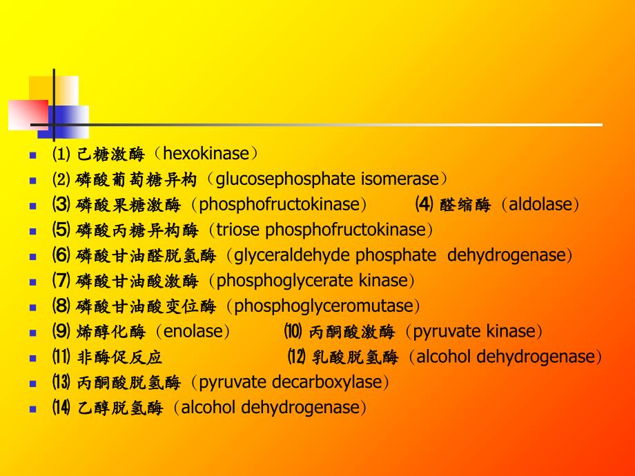 微生物发酵主要产品_第4页