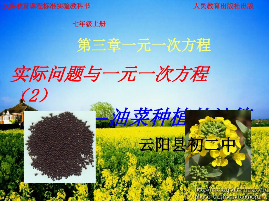 油菜种植的计算PPT演示文稿_第1页