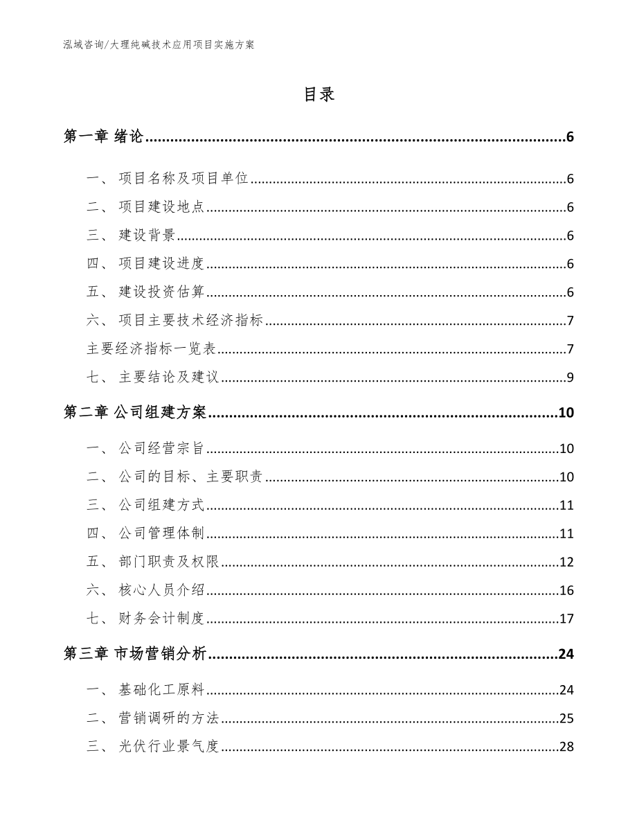 大理纯碱技术应用项目实施方案模板范文_第1页