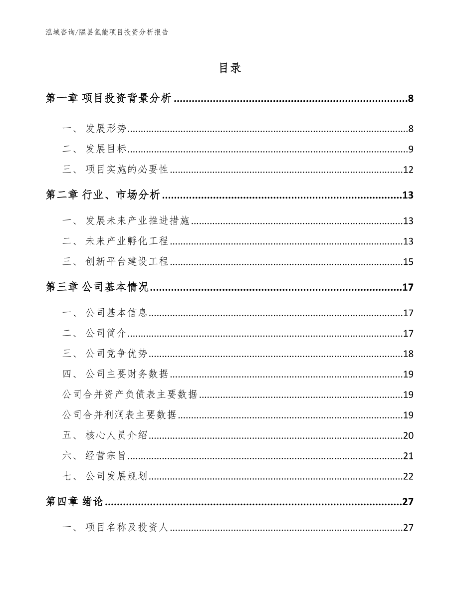 隰县氢能项目投资分析报告_模板参考_第2页