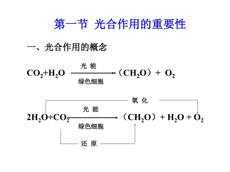 植物生理学第四章光合作用_第2页