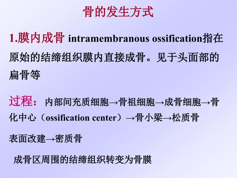 骨的发生教学课件_第3页