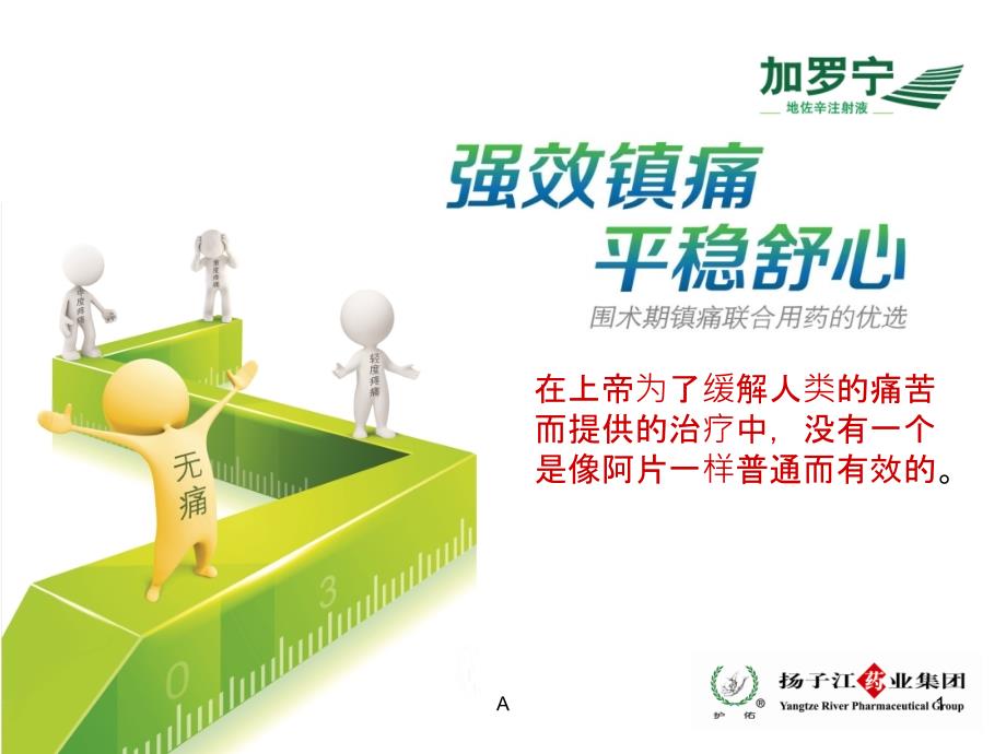 地佐辛注射液使用指南课件_第1页