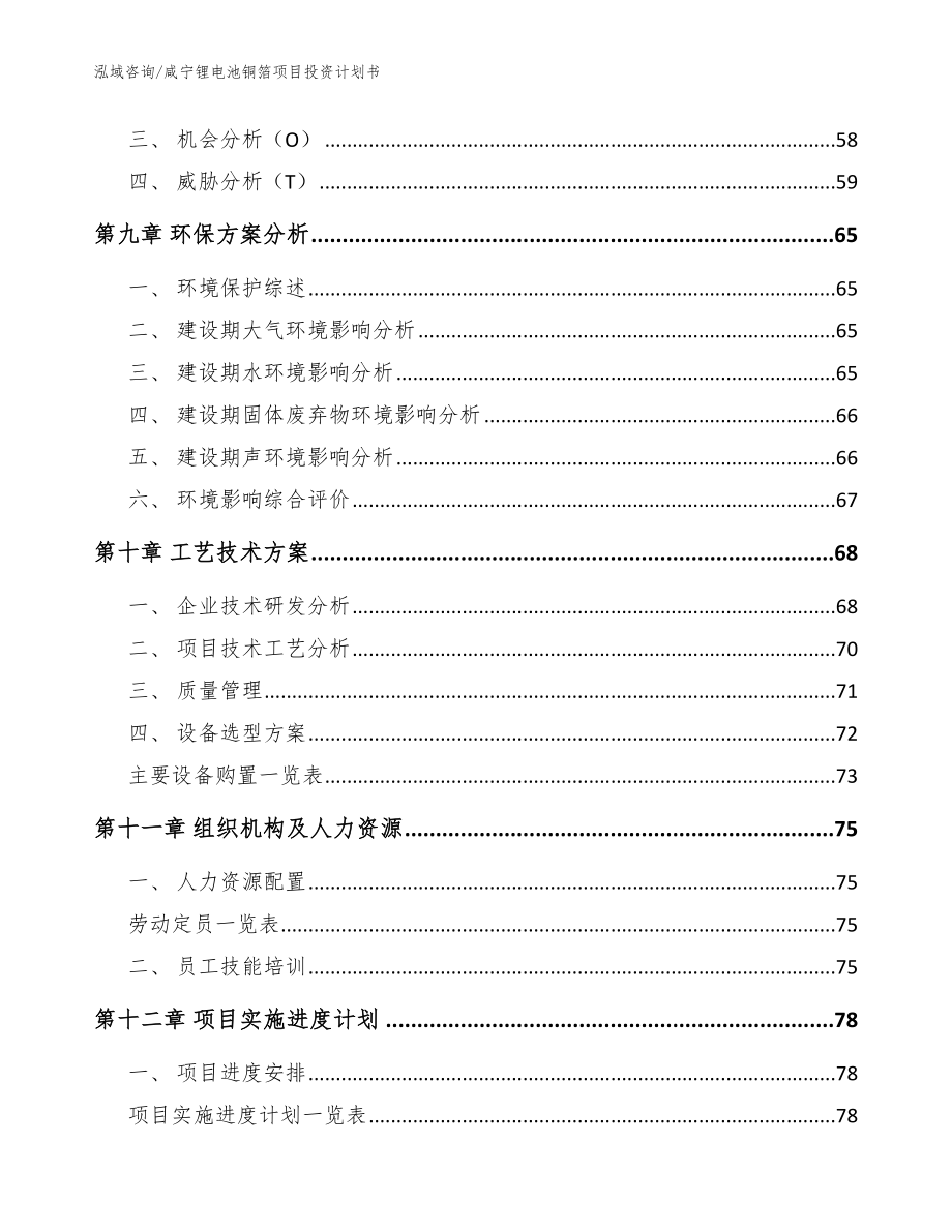 咸宁锂电池铜箔项目投资计划书【模板】_第4页