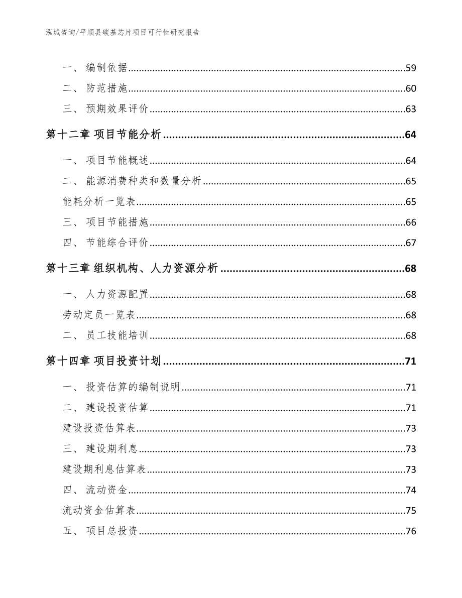 平顺县碳基芯片项目可行性研究报告（模板范本）_第5页