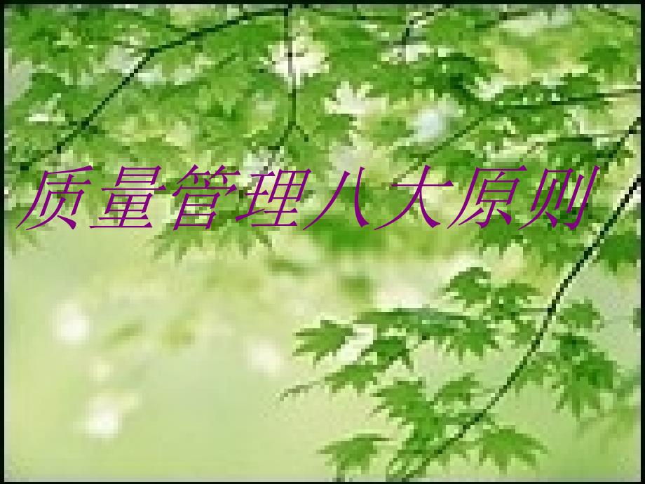 第二节质量管理八项原则.ppt_第1页