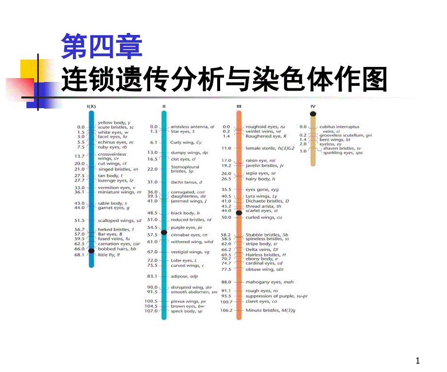 连锁遗传分析与染色体作图_第1页