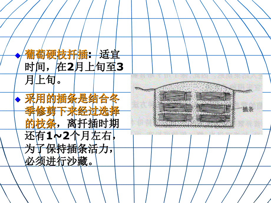 葡萄病虫害防治技术_第2页