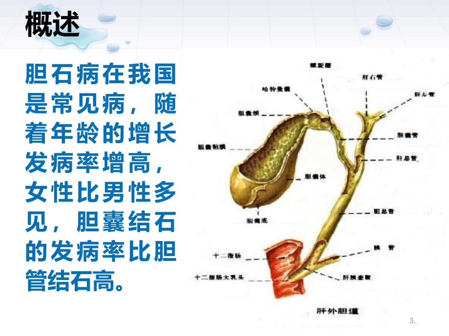 胆道疾病患者的护理课件_第3页