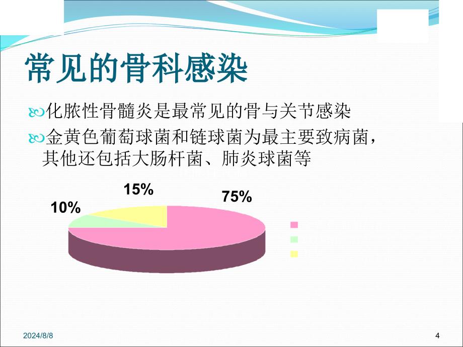 常见骨科感染ppt课件_第4页