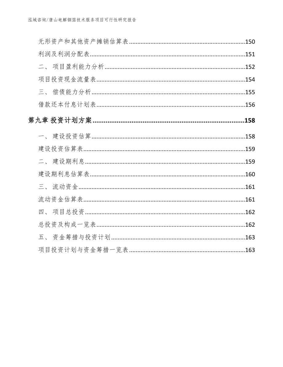 唐山电解铜箔技术服务项目可行性研究报告【模板范本】_第5页