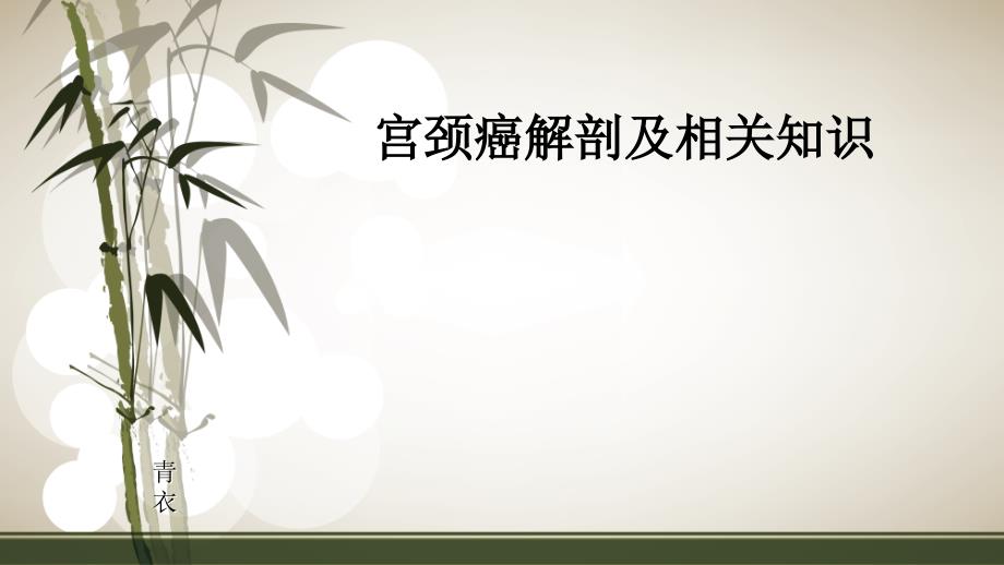 宫颈癌解剖及相关知识_第1页