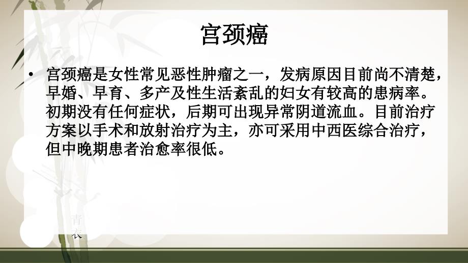 宫颈癌解剖及相关知识_第2页