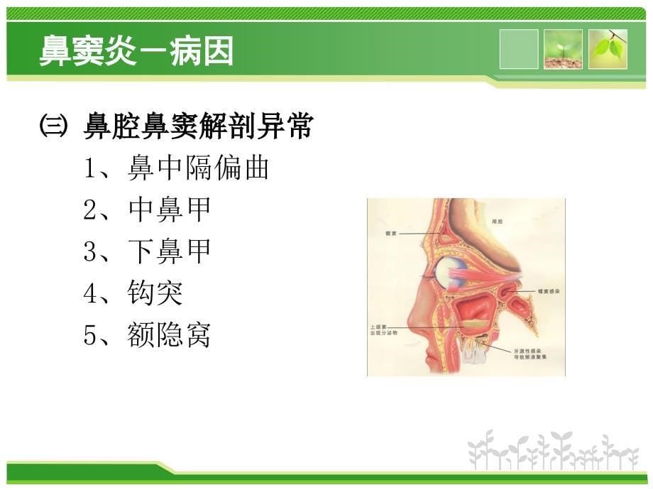 五官科常见病例及诊治课件_第5页