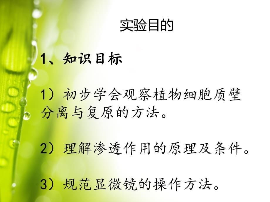 植物细胞质壁分离与复原观察.ppt_第5页