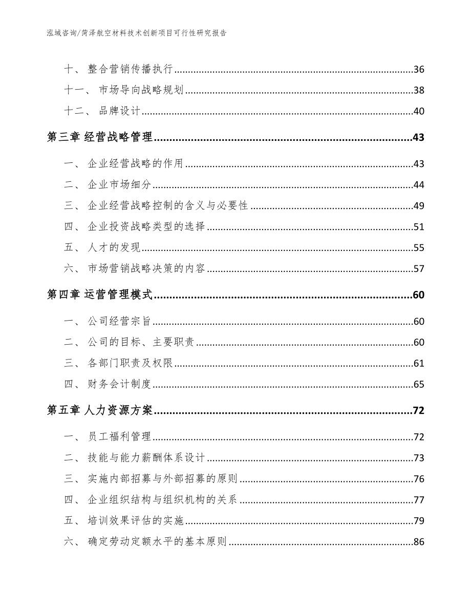 菏泽航空材料技术创新项目可行性研究报告_第2页