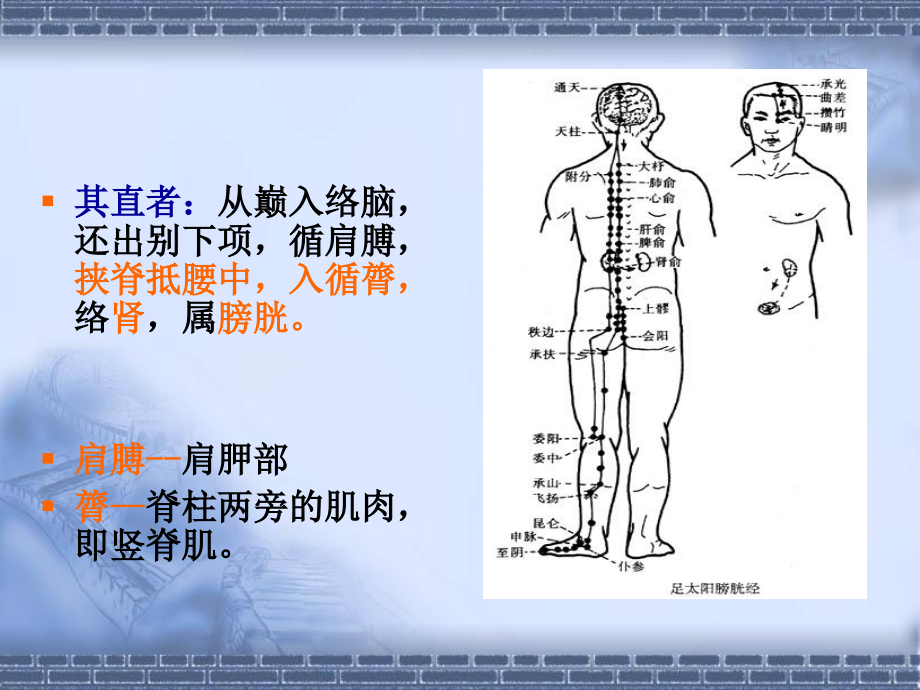 膀肾经络腧穴PPT课件_第4页